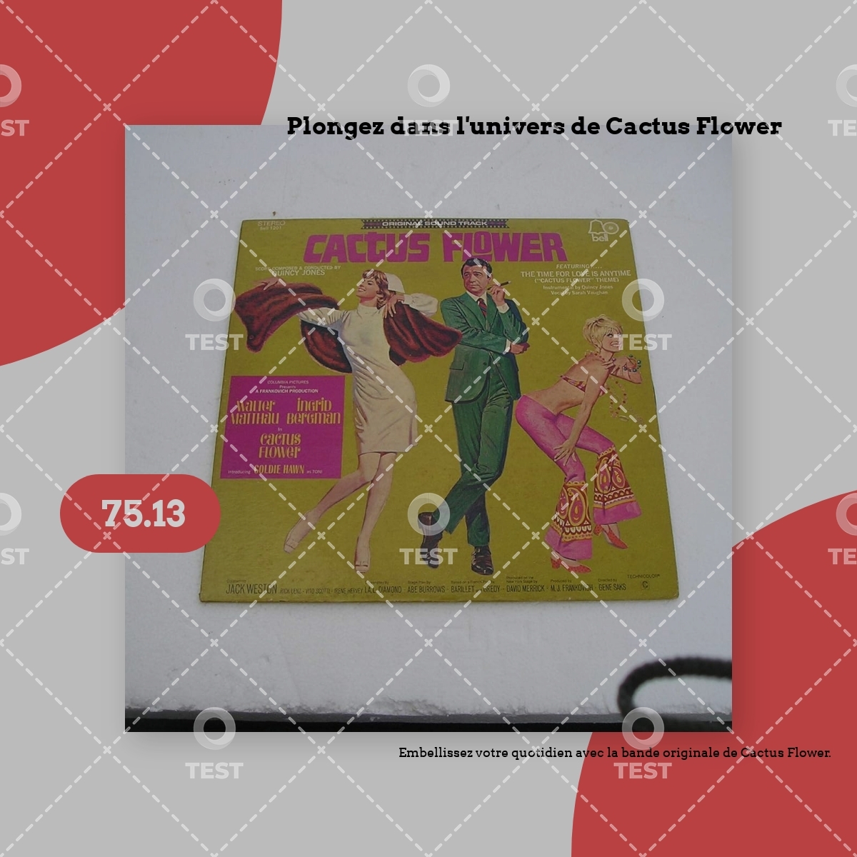 Plongez dans l&rsquo;univers de Cactus Flower